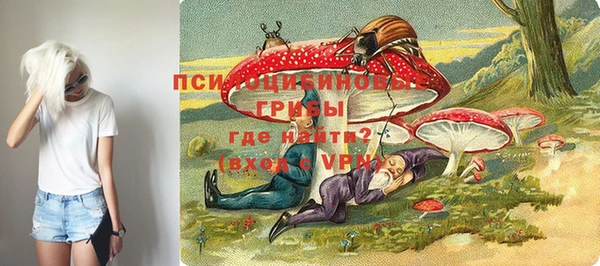 марки lsd Краснослободск